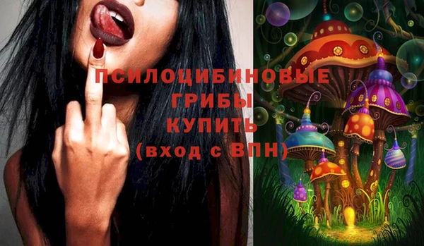 прущие крисы Козловка