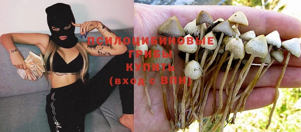 прущие крисы Козловка